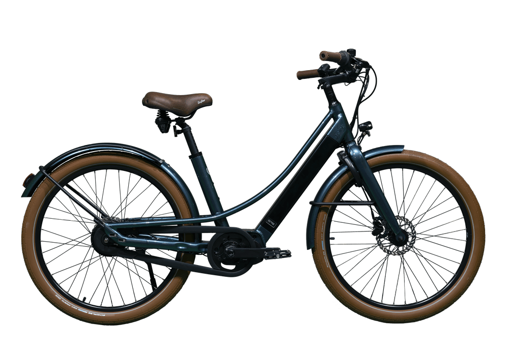 REINE BIKE CADRE BAS