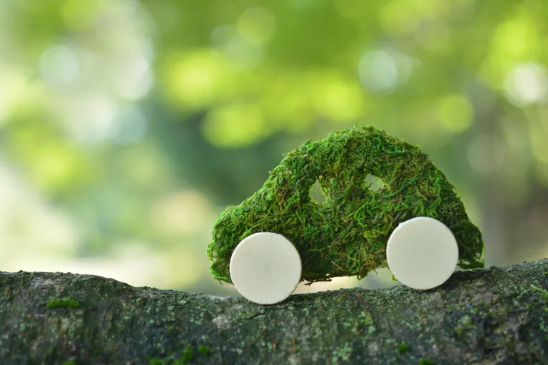 Avantages de l'Eco Entretien