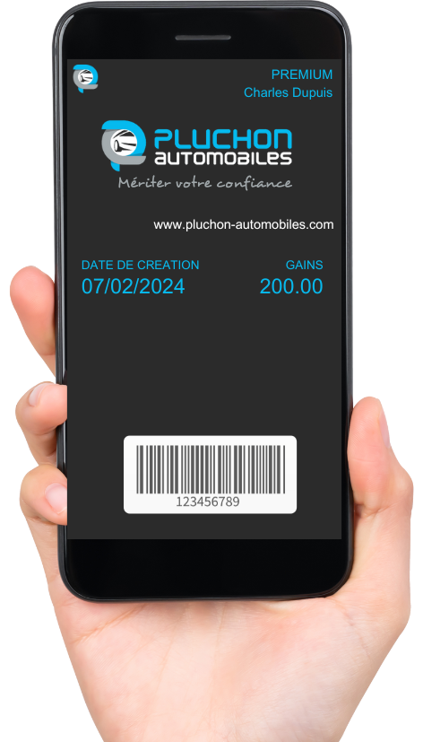 Pluchon automobiles fidelity card