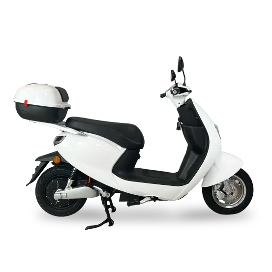 scooter-bingo-50-illustration-1