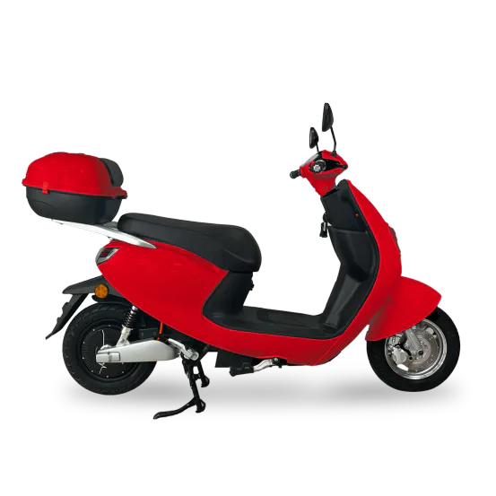 scooter-bingo-50-illustration-2