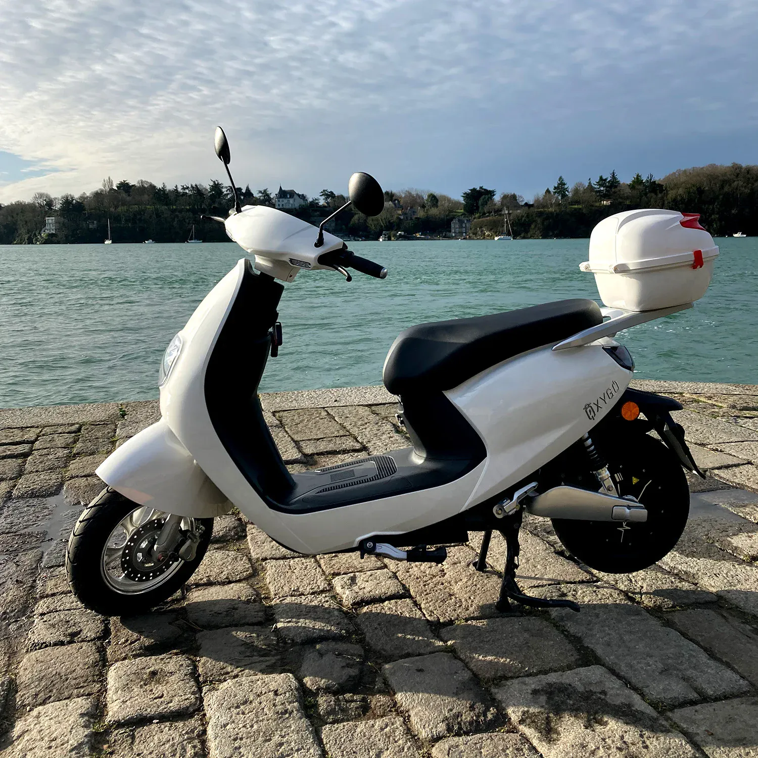 scooter-bingo-50-illustration-7