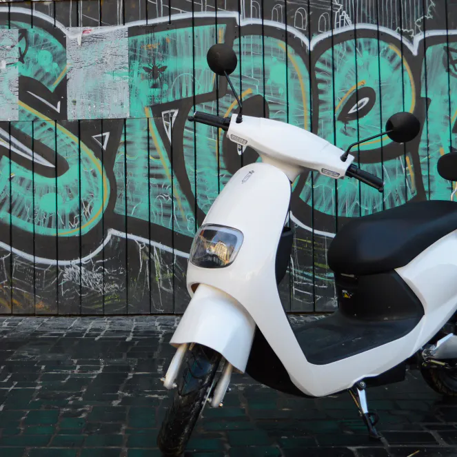 scooter-bingo-50-illustration-9