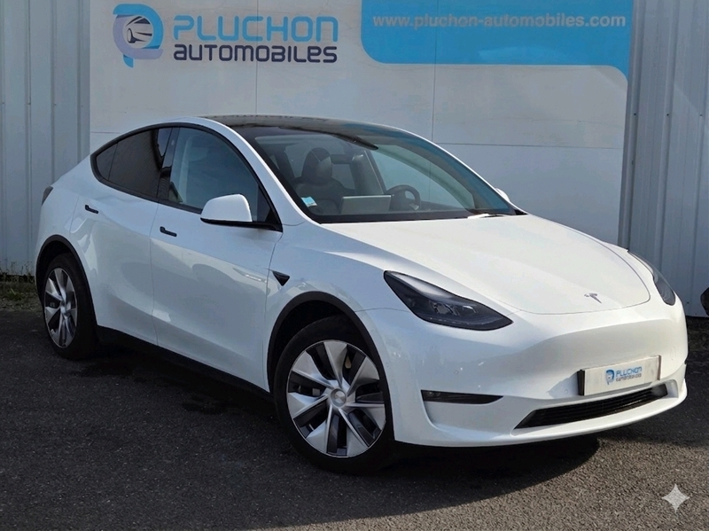 Tesla
                        Model Y