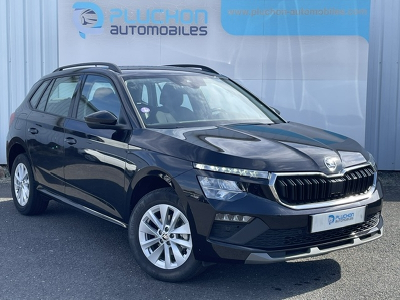 Skoda
                        Kamiq