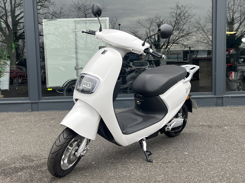 Gold
                        Bingo