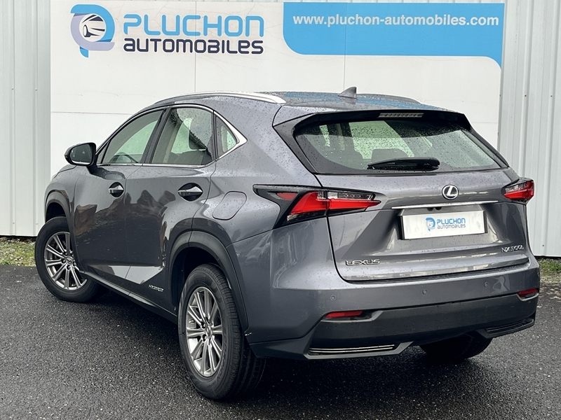 Lexus
                    Nx