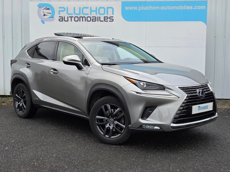 Lexus
                        Nx