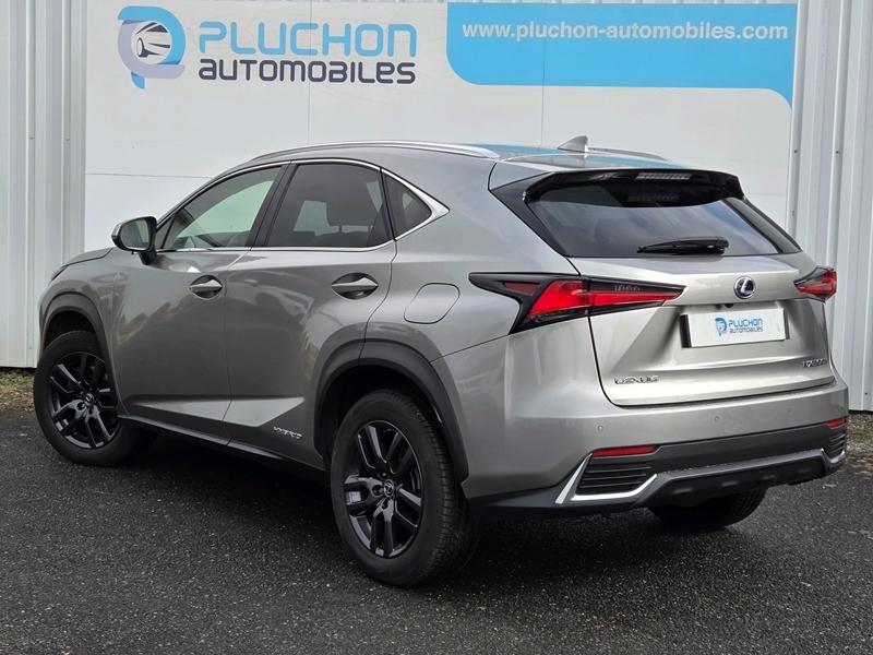 Lexus
                    Nx