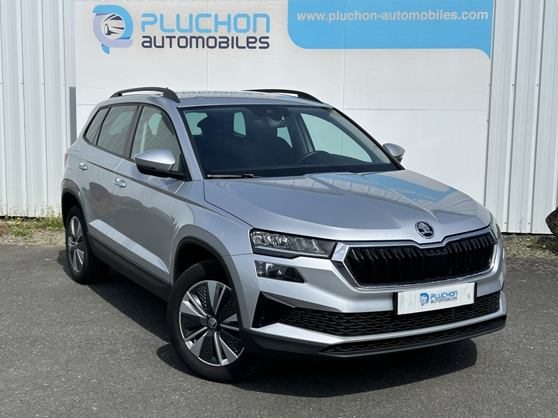 Skoda
                        KAROq