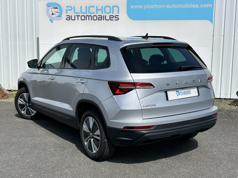 Skoda
                    KAROq